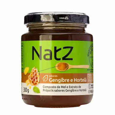 Composto de Mel e Própolis Natz Gengibre e Hortelã 300g
