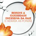 Kit Head & Shoulders Remoção da Oleosidade Shampoo + Condicionador