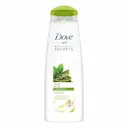 Shampoo Dove Ritual Detox com 400ml