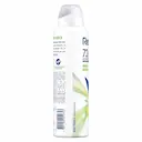 Desodorante Rexona Erva Doce Feminino Antitranspirante Aerossol com 150ml