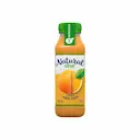 Suco de Laranja Natural One com 300ml