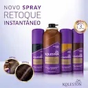 Retoque Instantâneo Koleston Castanho Escuro