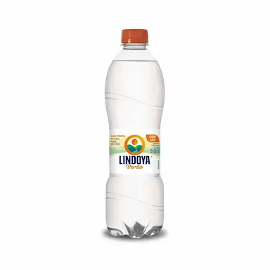 Água Mineral Lindoya Verão Com Gás com 510ml