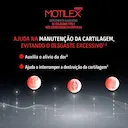 Motilex 40mg com 30 cápsulas
