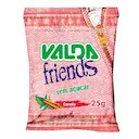 Pastilhas Valda Friends Canela Sem Açúcar 25g