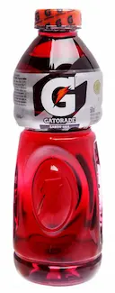 Gatorade Uva Isotônico com 500ml