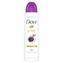 Desodorante Dove Go Fresh Amora e Flor de Lótus Aerossol Antitranspirante com 150ml
