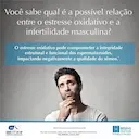 Suplemento Alimentar Andractiv Besins Healthcare com 30 cápsulas