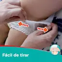 Fralda Pampers Pants Ajuste Total M - 84 Unidades