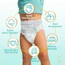 Fralda Pampers Premium Care Pants P - 40 Unidades