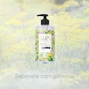 Sabonete Líquido para Mãos Lux Botanicals Erva Doce com 500ml