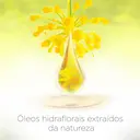 Sabonete Líquido para Mãos Lux Botanicals Erva Doce com 500ml