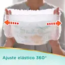 Fralda Pampers Premium Care Pants M - 78 Unidades