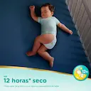 Fralda Pampers Premium Care Pants M - 78 Unidades