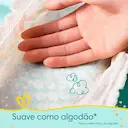Fralda Pampers Premium Care Pants G - 68 Unidades
