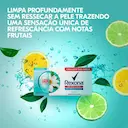Kit Sabonete em Barra Rexona Antibacterial Fresh com 6 unidades de 84g cada