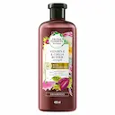 Shampoo Herbal Essences Bio:Renew Vitamina E e Manteiga de Cacau com 400ml