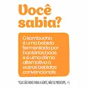 Kombucha Nutrigood sabor Mate com Limão com 300ml