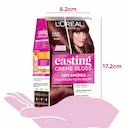 Tinta de Cabelo Casting Creme Gloss de L’Oréal Paris 550 Acaju 246g