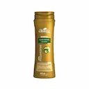 Shampoo Desalfy Óleo de Café Verde e Macadâmia com 300ml