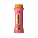 Shampoo Desalfy Riquíssima Desmaia Cabelo Óleo de Coco com 300ml