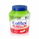 Colflex Muscular Colágeno Hidrolisado em Pó com 381g