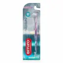 Escova de Dente Bitufo Intertufo Cônica com 1 unidade + 6 refis interdentais