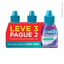 Kit Pó Fixador de Dentadura Corega com 22g Leve 3 Pague 2