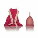 Coletor Menstrual Korui Pitanga Tamanho Normal com 1 unidade
