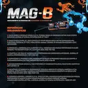 Suplemento Alimentar Mag B 60 Comprimidos