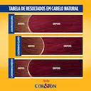Tintura Cor&Ton Niely 5.5 Castanho Claro Acaju com 1 Unidade