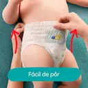 Fralda Pampers Pants Ajuste Total P - 26 Unidades