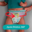 Fralda Pampers Pants Ajuste Total P - 26 Unidades