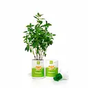 Sabonete Líquido Up2You Kids com 300ml