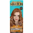 Tintura Creme Maxton 8.43 Cobre Dourado Claro com 1 Unidade