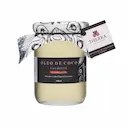 Óleo Vegetal Therra Coco Palmiste com 500ml