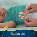 Fralda Pampers Pants Ajuste Total Noturna XG - 26 Unidades