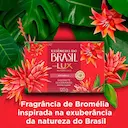Sabonete em Barra Lux Botanicals Essências do Brasil Bromélia com 120g