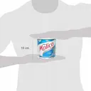 Composto Lácteo Molico Ômega 3 com 260g