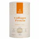Colágeno Grass Fed Selvs Collagen Protein Neutro com 460g