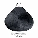 Tintura Creme C.Kamura Color Intense 6.1 Louro Escuro Cinza Claro com 50g