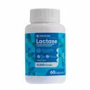 Lactase Enzima Digestiva Drogasil 10.000 FCC 60 Cápsulas