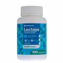 Lactase Enzima Digestiva Drogasil 10.000 FCC 100 Cápsulas