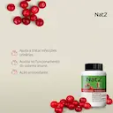 Suplemento Alimentar Natz Cranberry Extrato + Vitamina C e Zinco - 90 Cápsulas