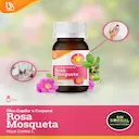 Óleo Rosa Mosqueta Capilar e Corporal Sobral 100% Puro 30ml