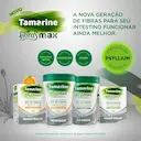 Tamarine Fibras Max em Pó Sabor Laranja 10 sachês com 6,5g cada