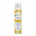 Desodorante Íntimo Vagisil Essências Delicadas Jasmim Branco 75ml