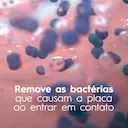 Refil para Irrigador Waterflosser Oral B 4 unidades