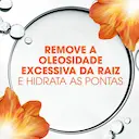 Shampoo Head & Shoulders Remoção da Oleosidade 400ml