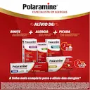 Polaramine Maleato de Dexclorfeniramina 10mg/g Creme Dermatológico 30g